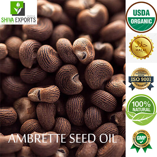 Ambrette Seed Oil 1 Wholesale Supplier and Exporter of Essential