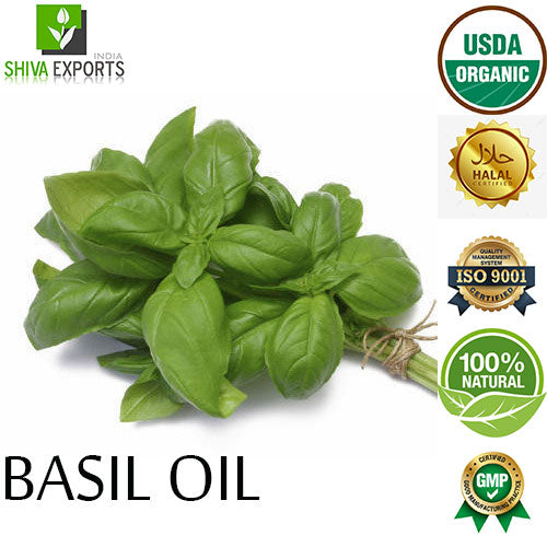 Basil Oil Manufacturer Wholesale Supplier in Pure and Natural