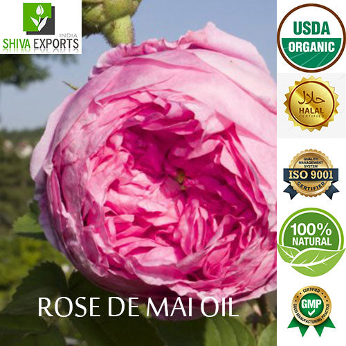 Rose de Mai Essential Oil Organic