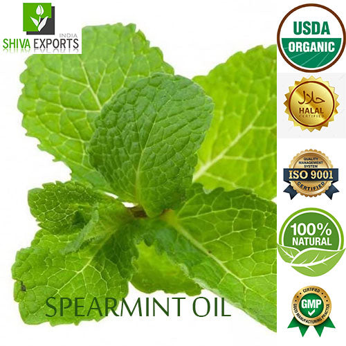 Spearmint Oil Wholesale Supplier and Manufacturer in India