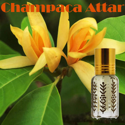 Champaca Attar Shop Champak White Sandalwood Golden Champa