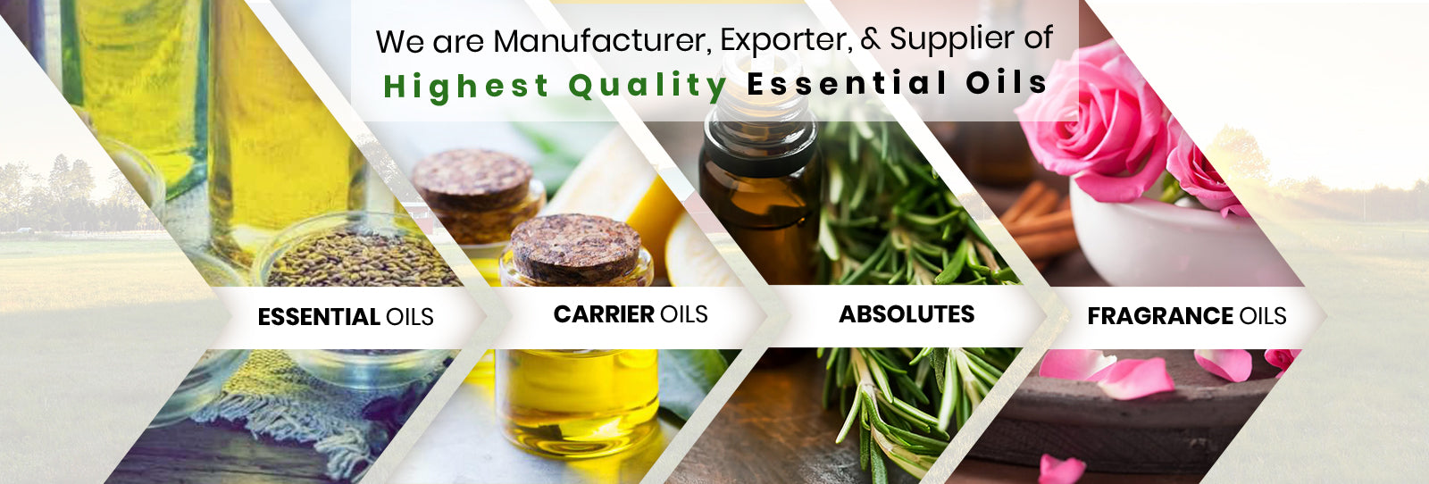 Essential Oils Vs Fragrance Oil Concentrates – Shiva Exports India