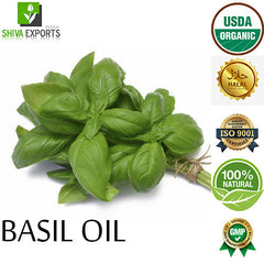 Basil Oil Manufacturer Wholesale Supplier in Pure and Natural Form