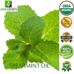 Best Spearmint Oil Indian - Fast Shipping - Norex flavours